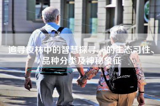 追寻夜林中的智慧探寻owl的生态习性、品种分类及神秘象征