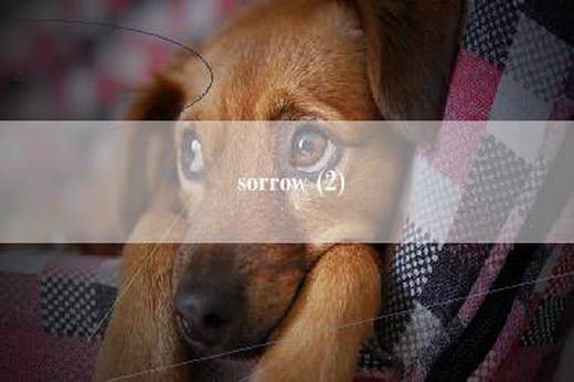 sorrow (2)