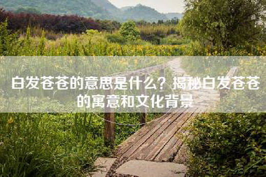 白发苍苍的意思是什么？揭秘白发苍苍的寓意和文化背景