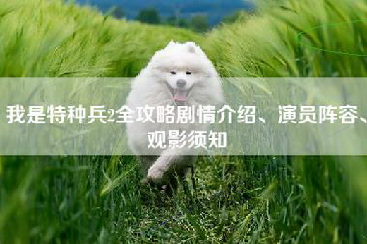 我是特种兵2全攻略剧情介绍、演员阵容、观影须知