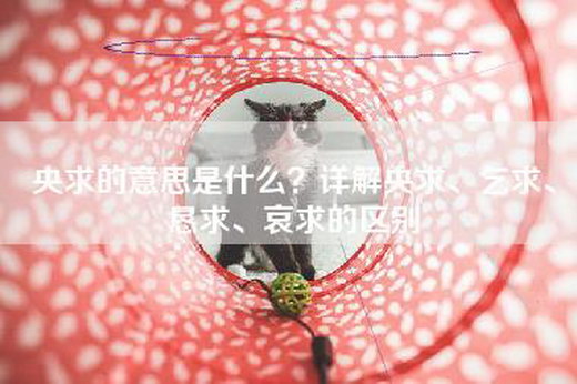 央求的意思是什么？详解央求、乞求、恳求、哀求的区别