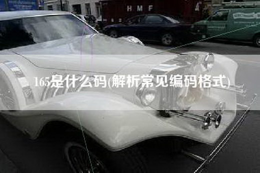 165是什么码(解析常见编码格式)