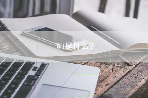 W1是什么？
