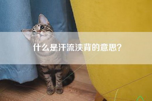 什么是汗流浃背的意思？