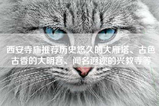 西安寺庙推荐历史悠久的大雁塔、古色古香的大明宫、闻名遐迩的兴教寺等