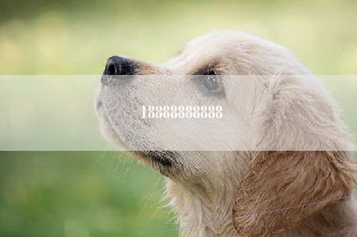 18888888888