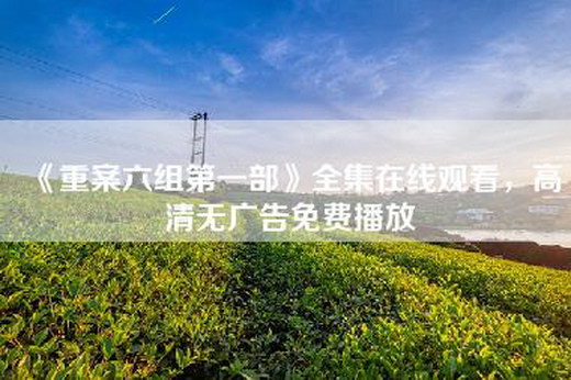 《重案六组第一部》全集在线观看，高清无广告免费播放