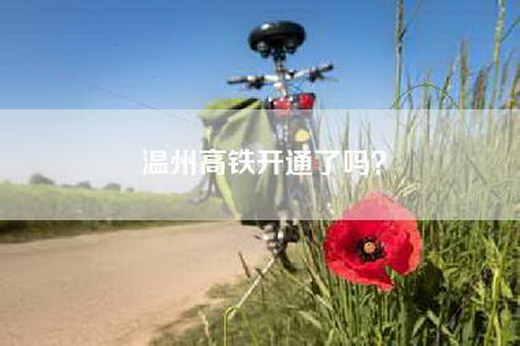 温州高铁开通了吗？