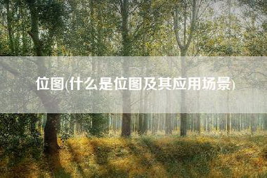 位图(什么是位图及其应用场景)