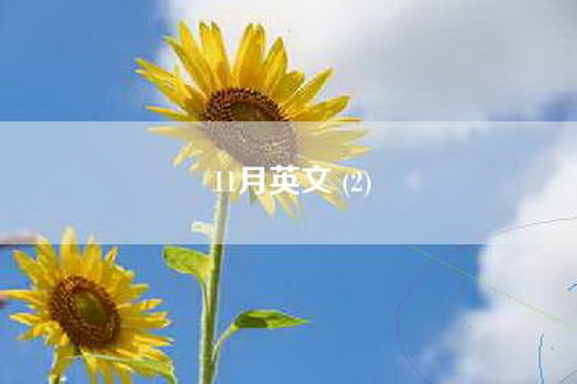 11月英文 (2)