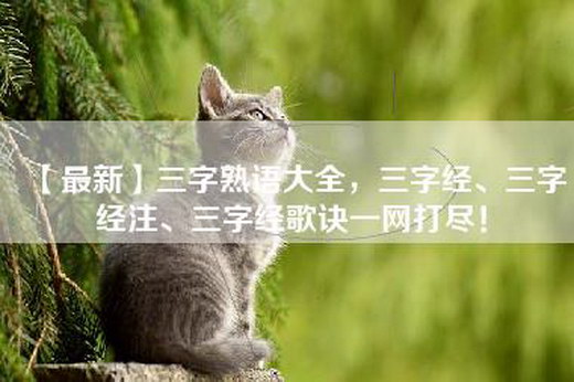 【最新】三字熟语大全，三字经、三字经注、三字经歌诀一网打尽！