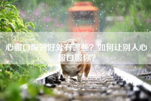 心服口服的好处有哪些？如何让别人心服口服你？