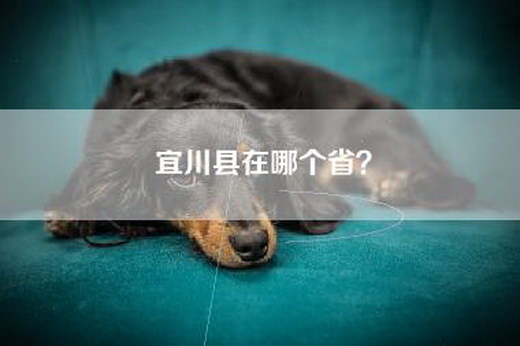 宜川县在哪个省？