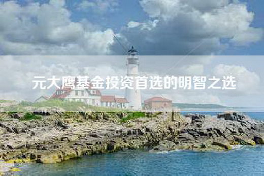 元大鹰基金投资首选的明智之选