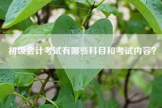 初级会计考试有哪些科目和考试内容？