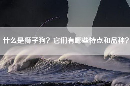 什么是狮子狗？它们有哪些特点和品种？