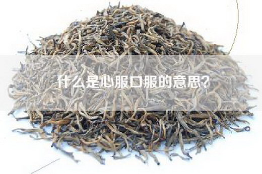 什么是心服口服的意思？
