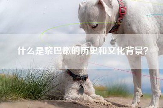什么是黎巴嫩的历史和文化背景？