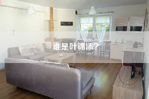 谁是叶锦添？