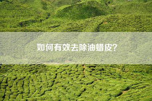 如何有效去除油蜡皮？