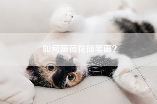 如何画荷花简笔画？