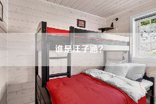 谁是汪子涵？
