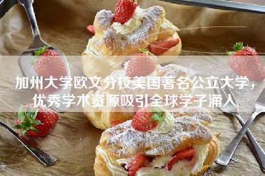 加州大学欧文分校美国著名公立大学，优秀学术资源吸引全球学子涌入