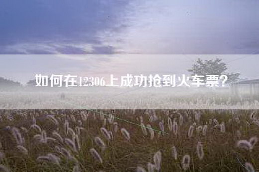 如何在12306上成功抢到火车票？
