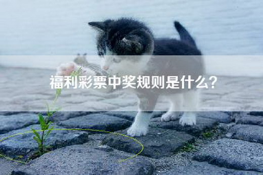 福利彩票中奖规则是什么？