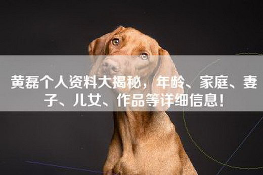 黄磊个人资料大揭秘，年龄、家庭、妻子、儿女、作品等详细信息！