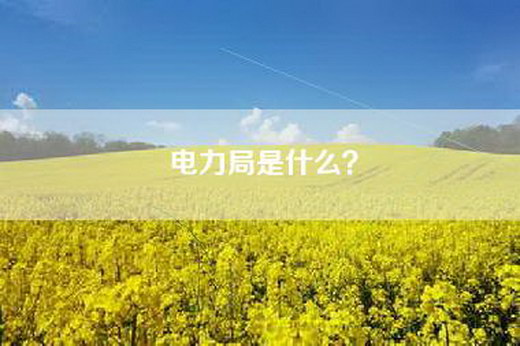 电力局是什么？