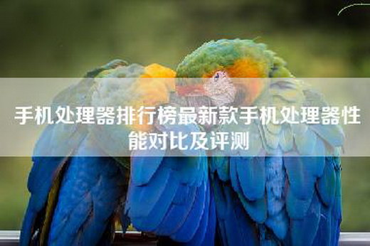 手机处理器排行榜最新款手机处理器性能对比及评测
