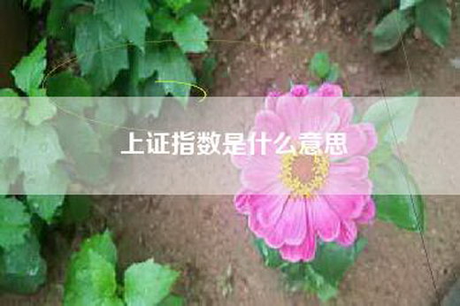 上证指数是什么意思