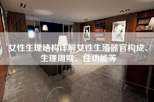 女性生理结构详解女性生殖器官构成、生理周期、性功能等