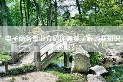 电子商务专业介绍你需要了解哪些知识和技能？