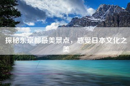 探秘东京都最美景点，感受日本文化之美