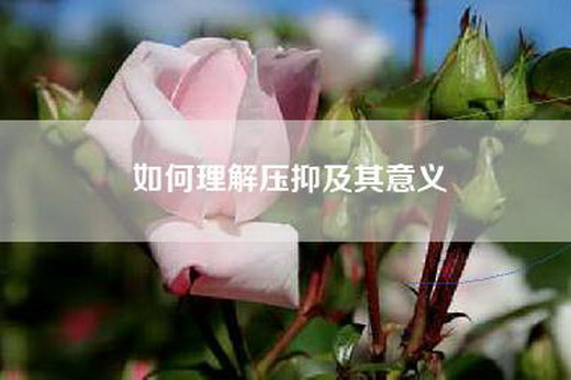 如何理解压抑及其意义