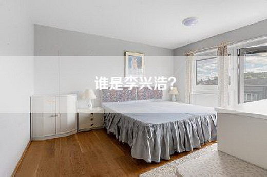 谁是李兴浩？