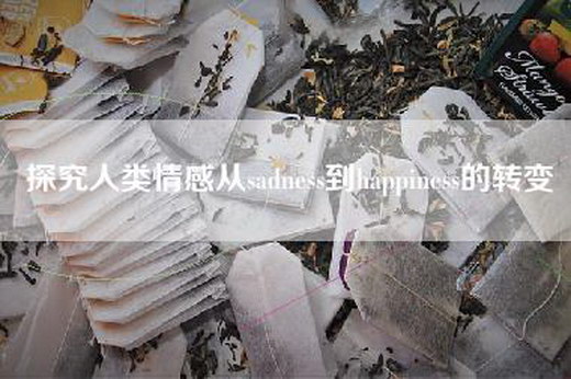 探究人类情感从sadness到happiness的转变