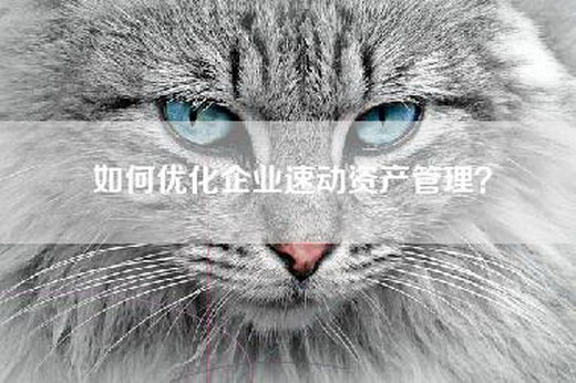 如何优化企业速动资产管理？