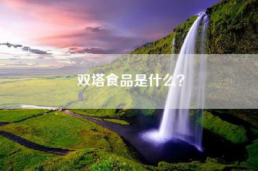 双塔食品是什么？