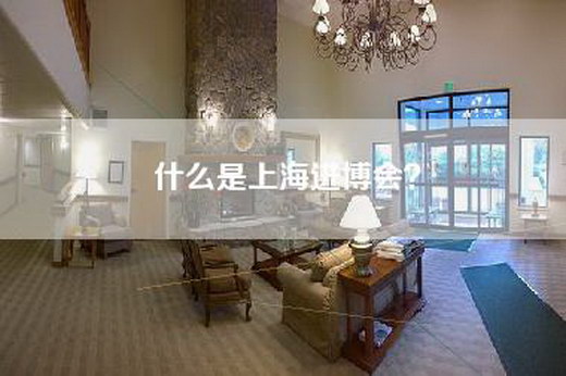 什么是上海进博会？