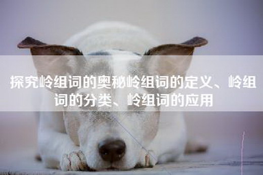 探究岭组词的奥秘岭组词的定义、岭组词的分类、岭组词的应用