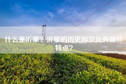 什么是沂蒙？沂蒙的历史和文化有哪些特点？