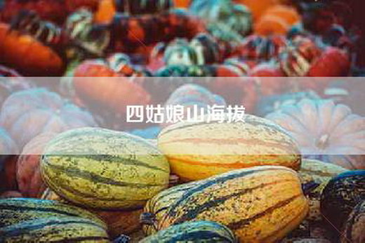 四姑娘山海拔
