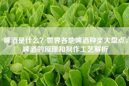 啤酒是什么？世界各地啤酒种类大盘点，啤酒的原理和制作工艺解析