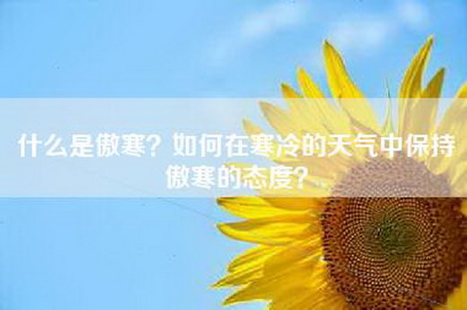 什么是傲寒？如何在寒冷的天气中保持傲寒的态度？