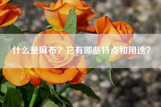 什么是麻布？它有哪些特点和用途？