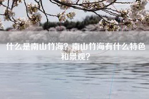 什么是南山竹海？南山竹海有什么特色和景观？