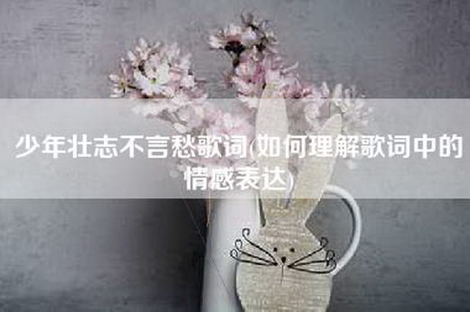 少年壮志不言愁歌词(如何理解歌词中的情感表达)